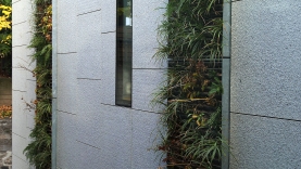 Vegetationswand in Fassade-BIAUS-HSB-MM-090015300000-140930-04