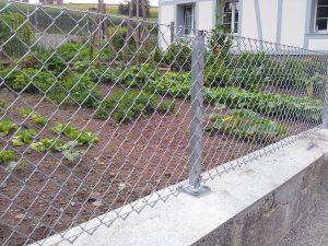 diagonalgeflechtzaun-biaus-hsb-mm-130010000000-130709-06